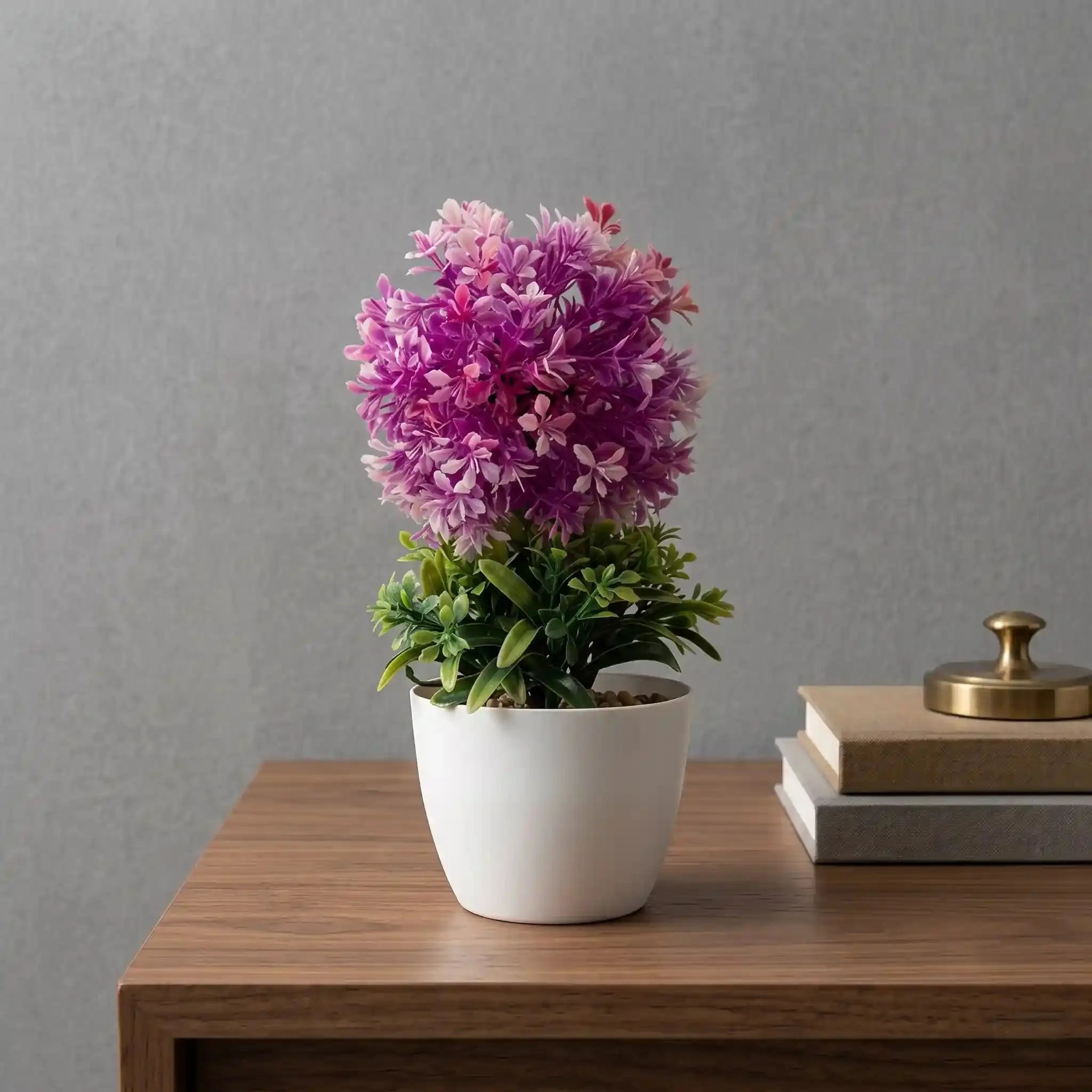 Small Mini Plant - DecoraPK