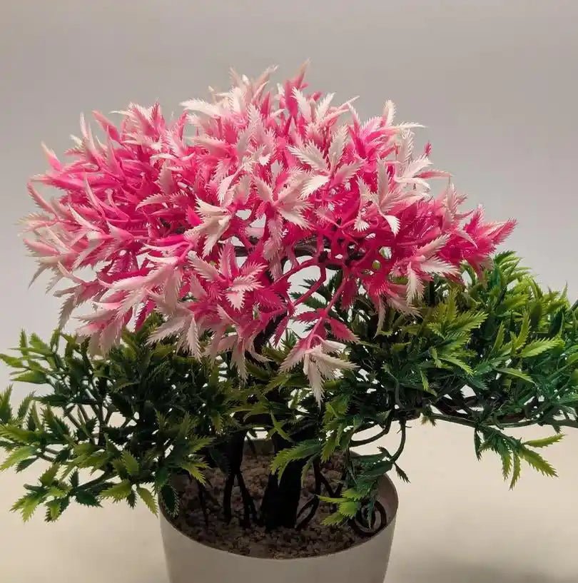 Berry Topiary Mini Plants