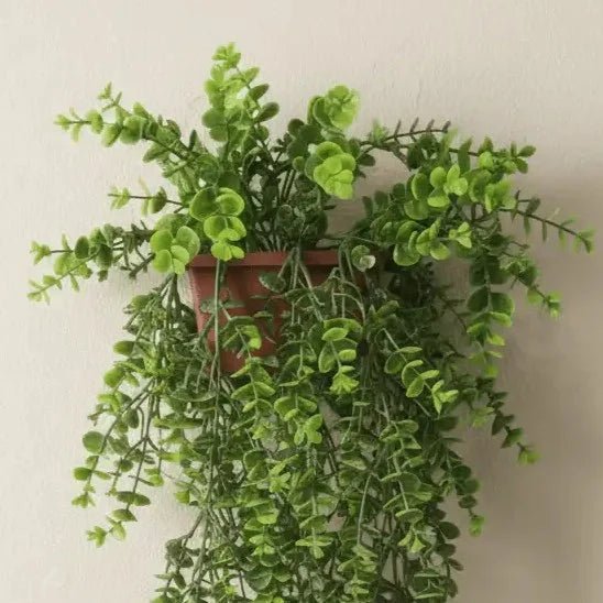Green Vine Wall Plant