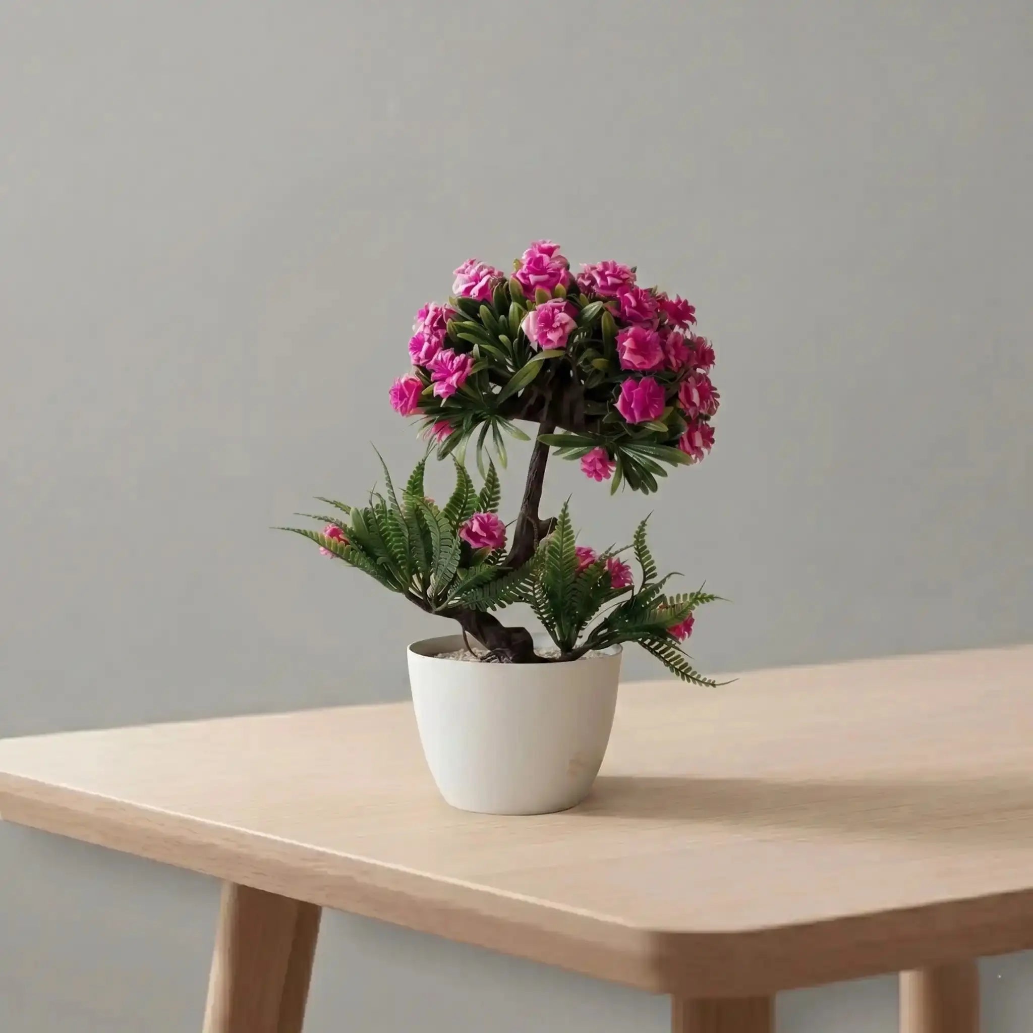Blossom Mini plants