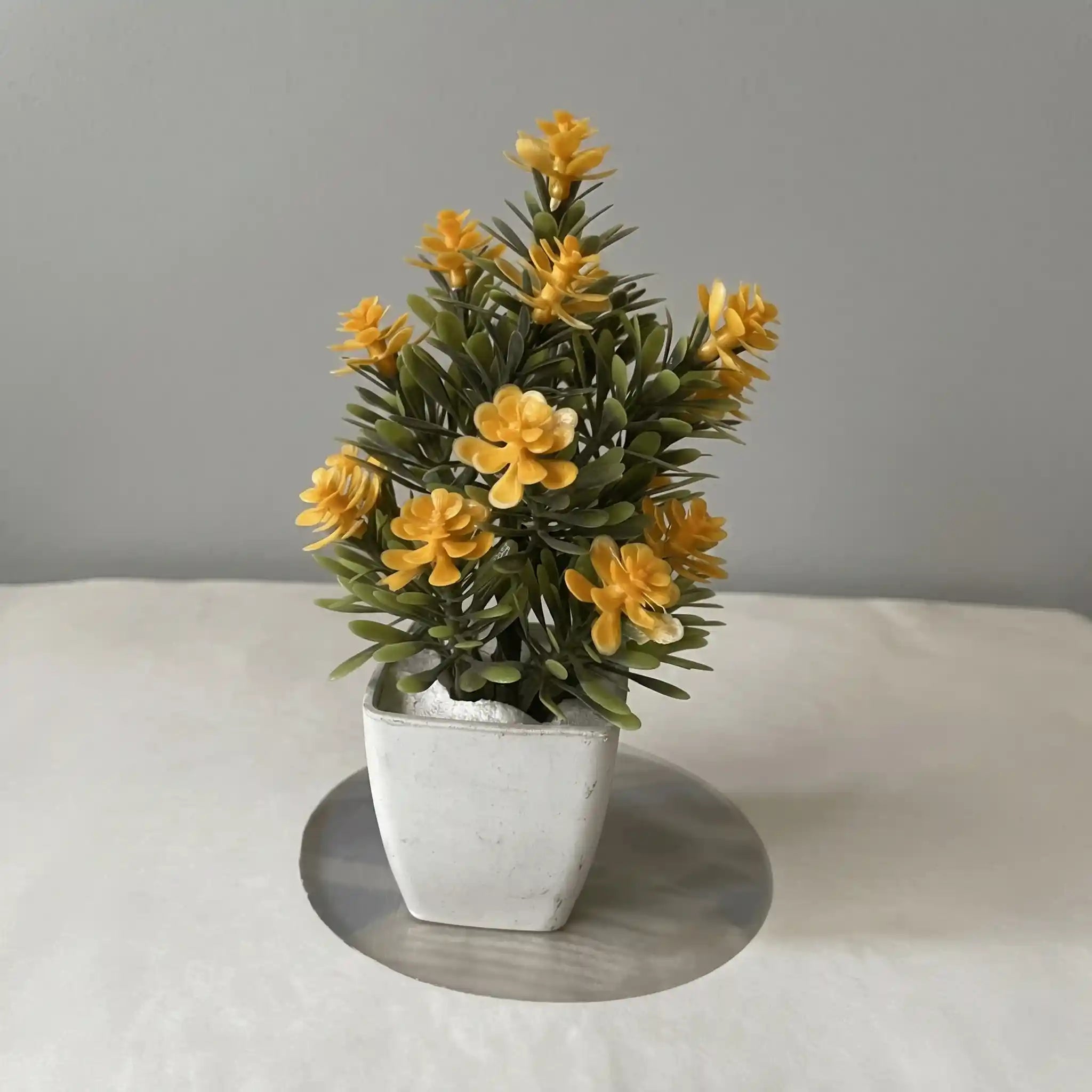 Mini Flower Plant