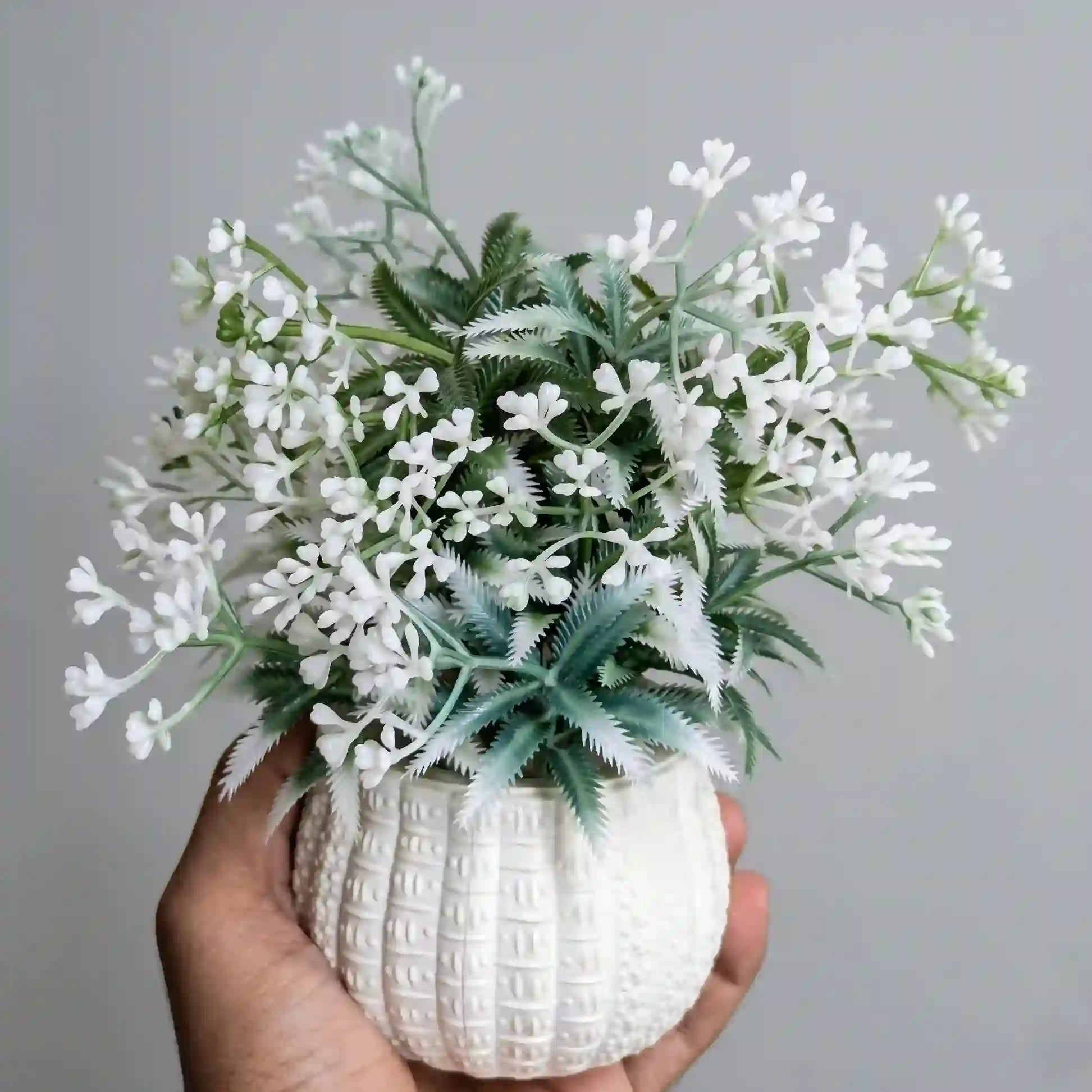 Bloom Mini Plant