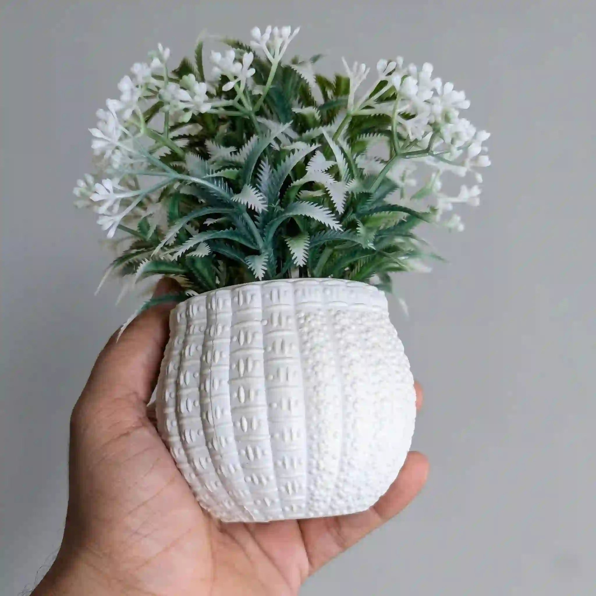 Bloom Mini Plant