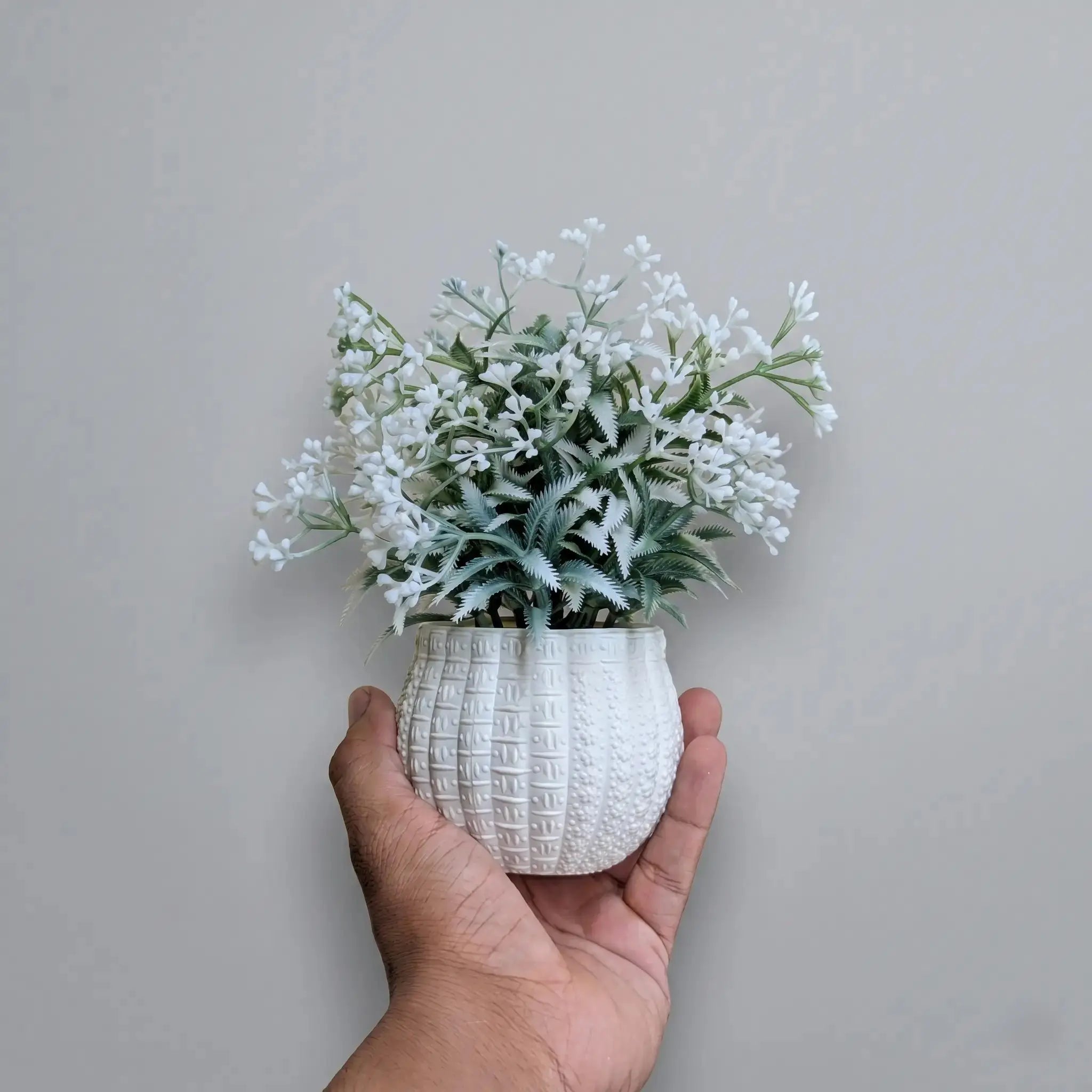 Bloom Mini Plant
