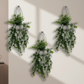 hanging green plant set of three decor