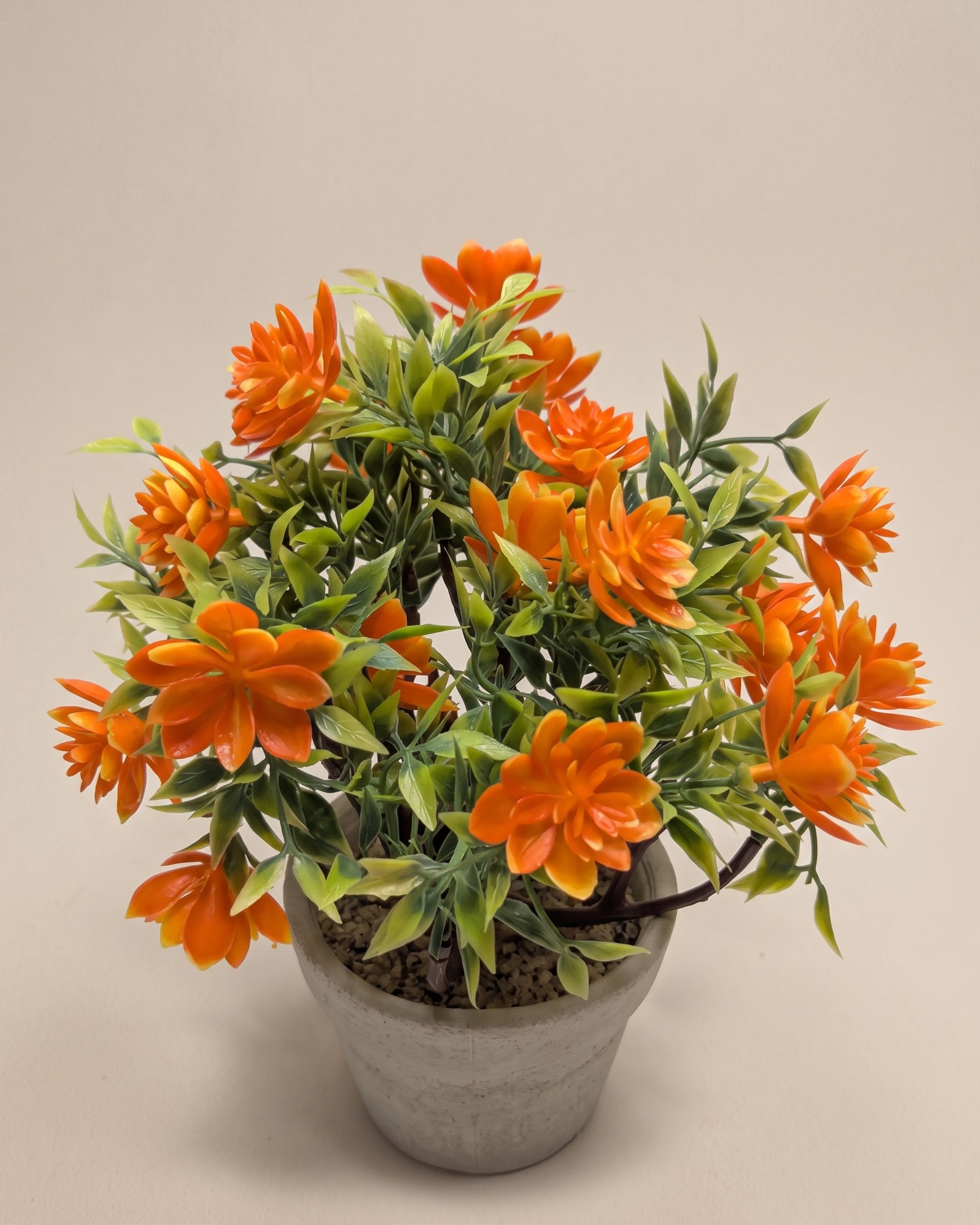 Mini Plants 001 - DecoraPK