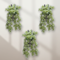 hanging green plant decor for home