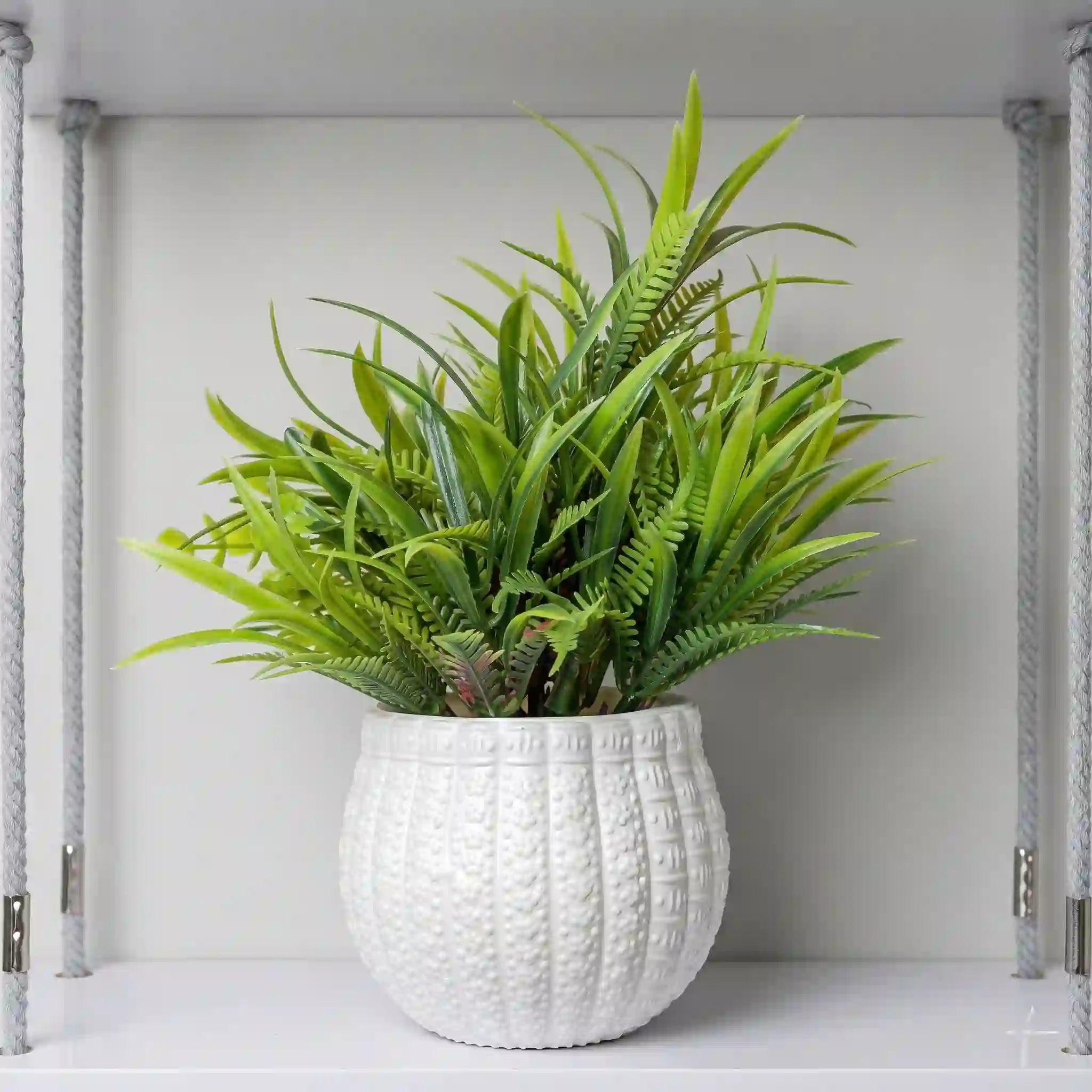 Green Filler Mini Plant