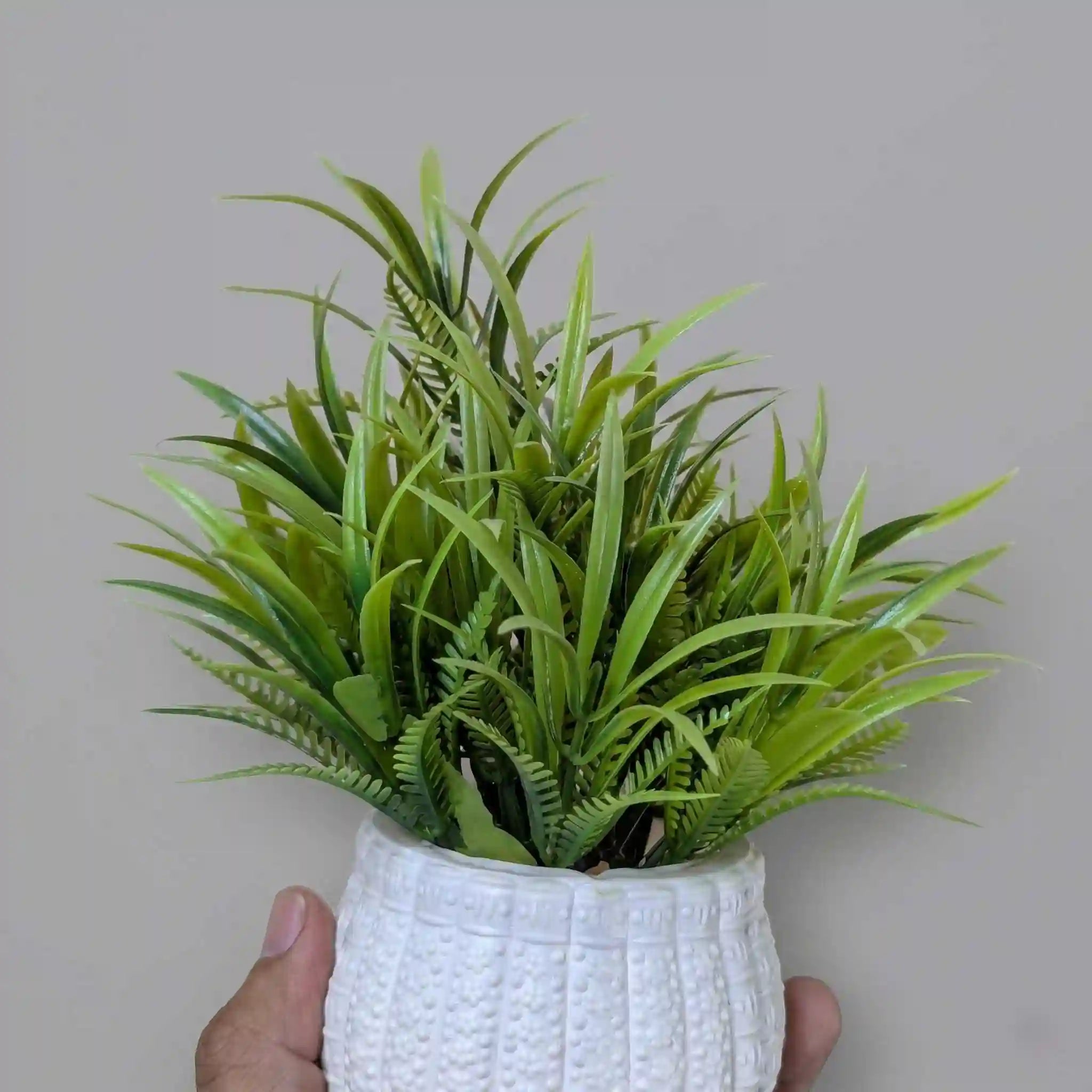 Green Filler Mini Plant