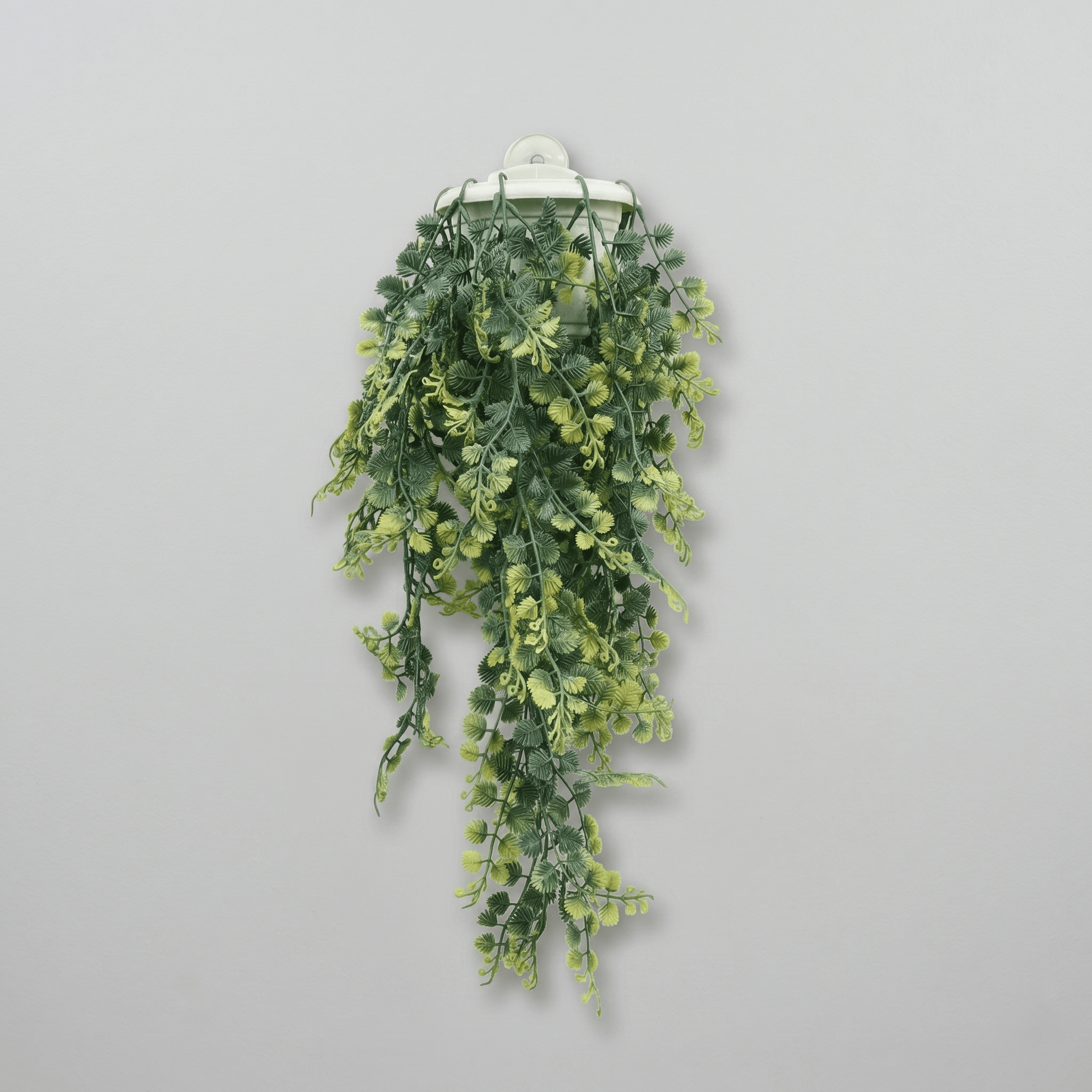Trailing Vines Wall Hanging - DecoraPK