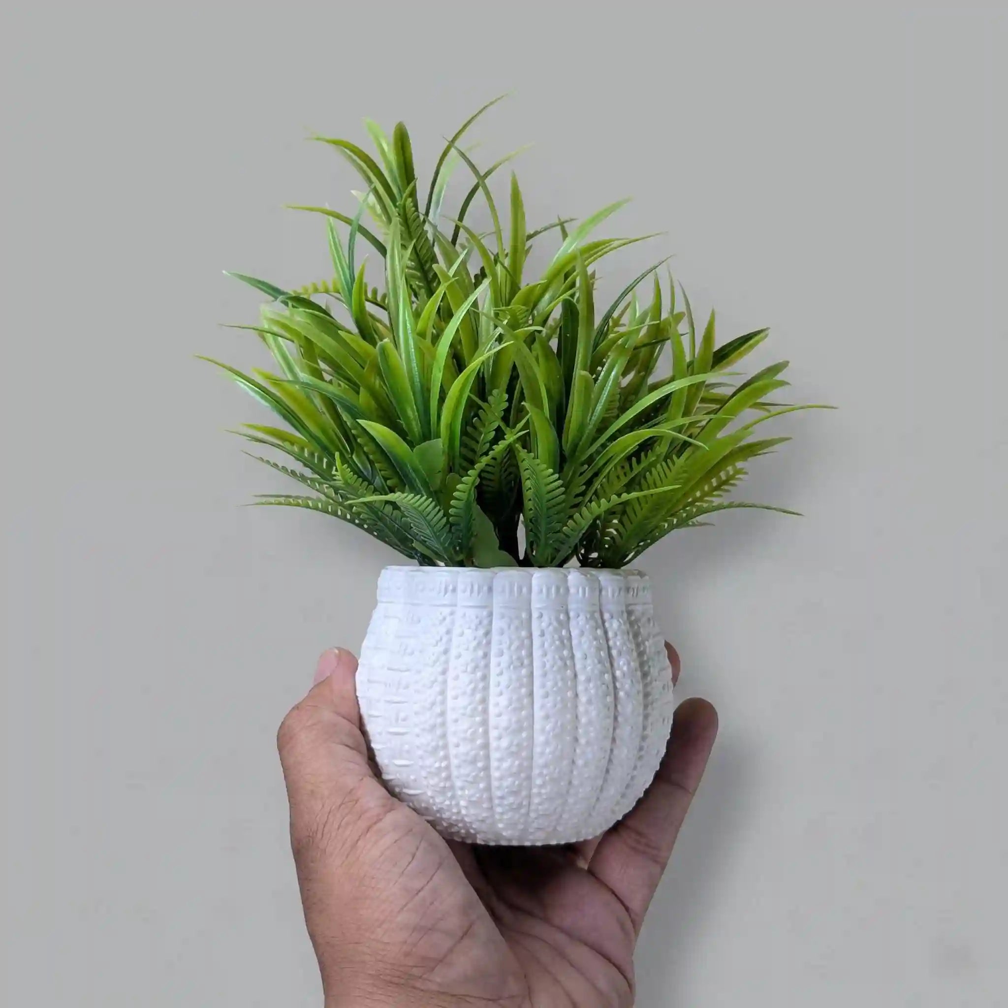 Green Filler Mini Plant