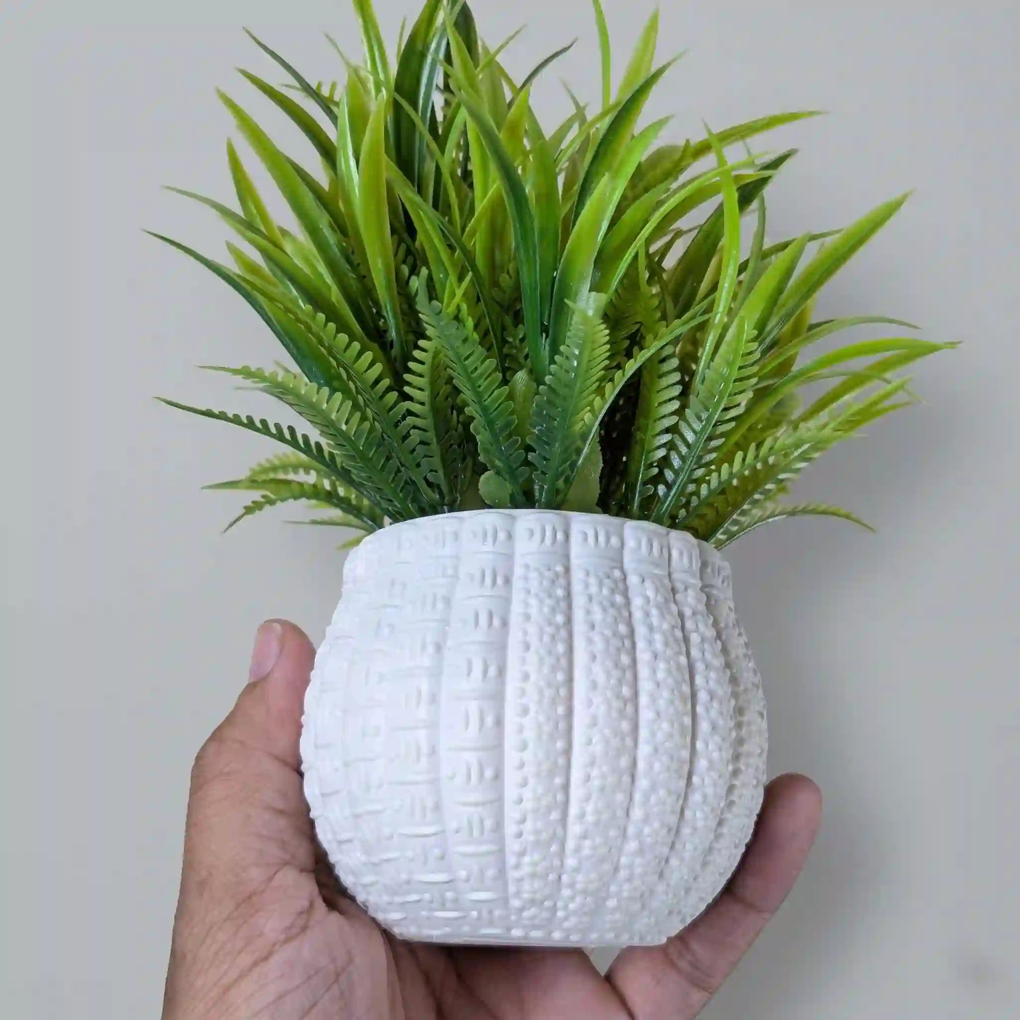 Green Filler Mini Plant - DecoraPK