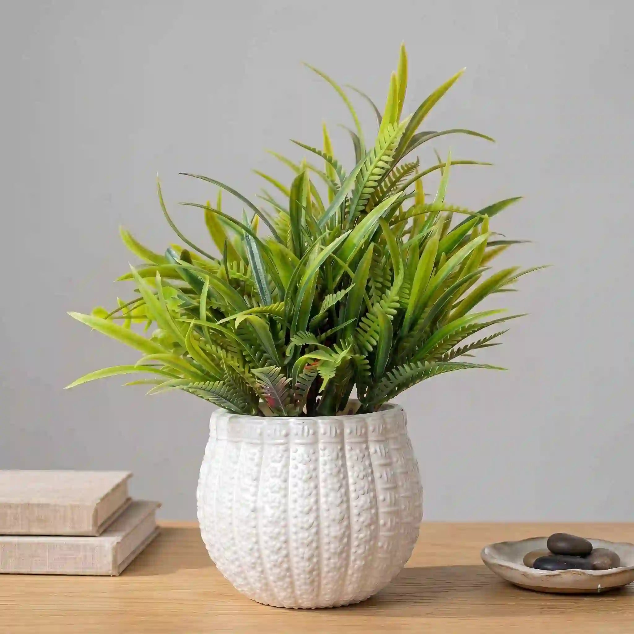 Green Filler Mini Plant - DecoraPK