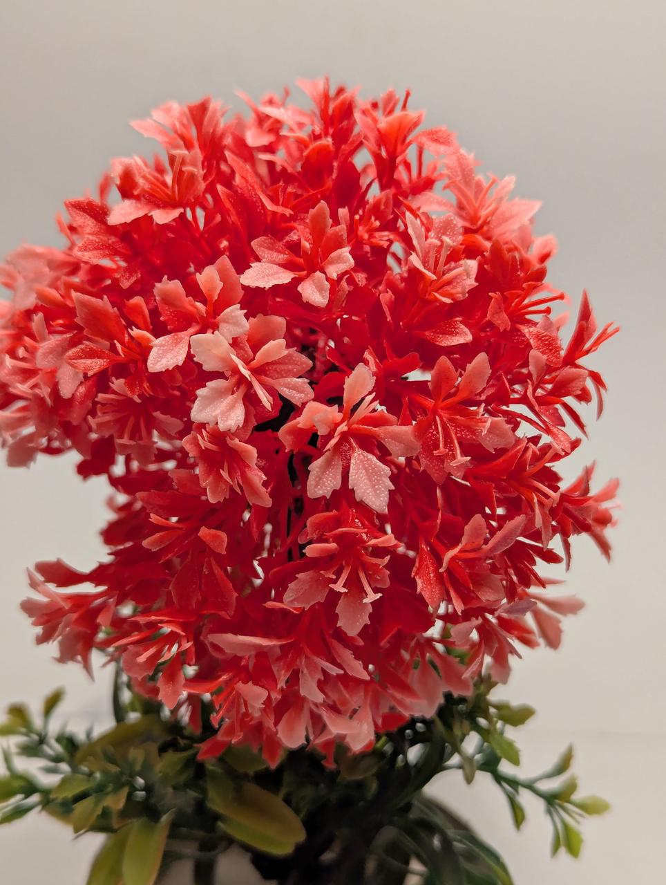 orange flower bonsai plant indoor decor