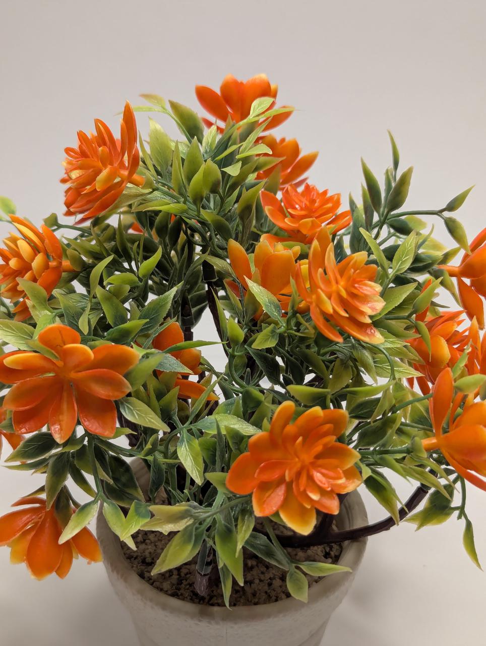 orange flower bonsai indoor decoration