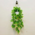 hanging green plant decor for home