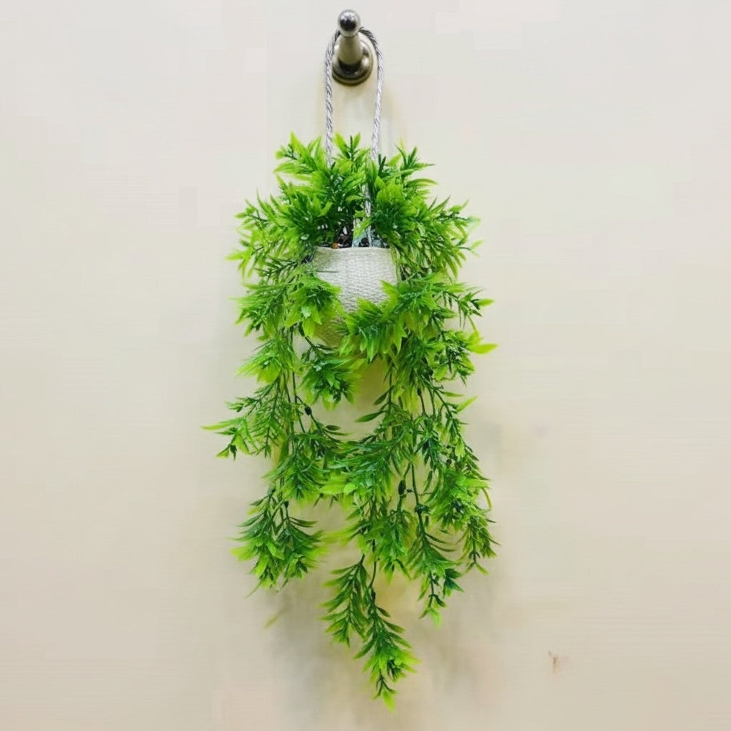 hanging green plant decor for home