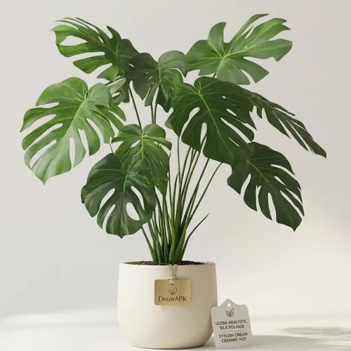 Plants