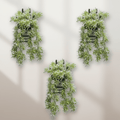 Hanging Green Plant Decor for Home & Indoor Spaces