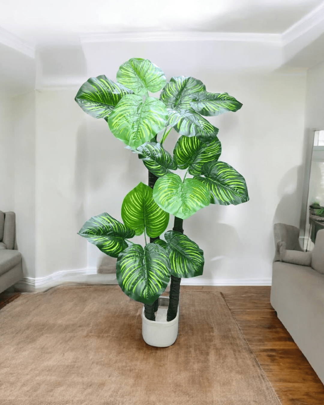 Indoor Decorative Plant for Home & Office Decor