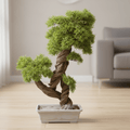 Premium Indoor Artificial Bonsai Plant for Home & Office Decor