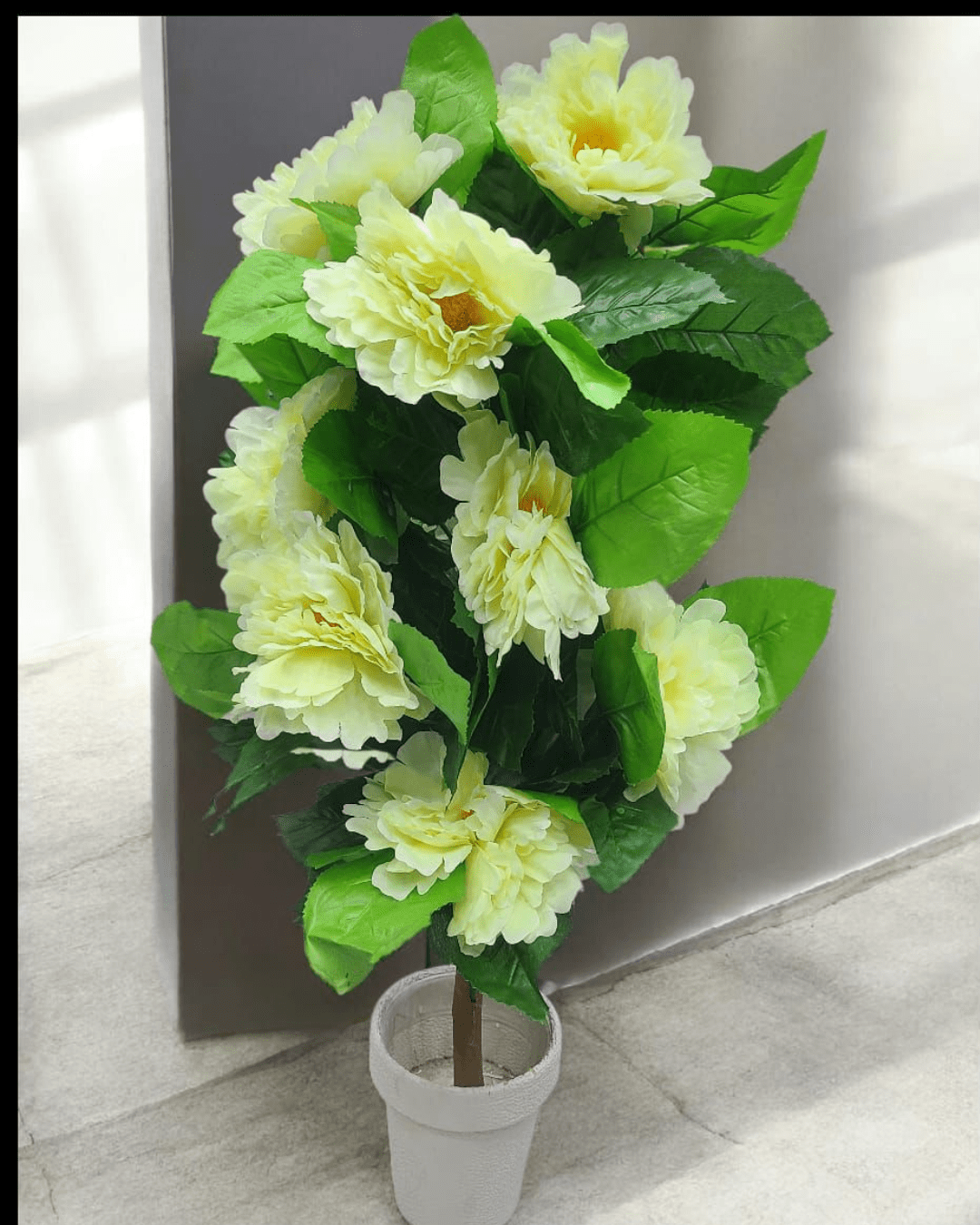 White Blossom Plant for Home & Indoor Decor